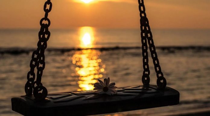 Finally, We’re Just Like Dolly